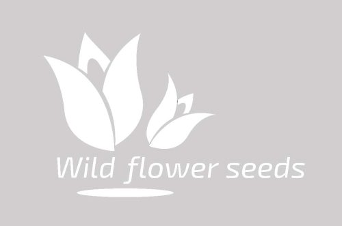 Bupleurum longifolium subsp. vapincense